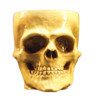  Ceramister Skull