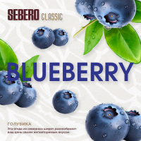 Sebero  40  (Blueberry)