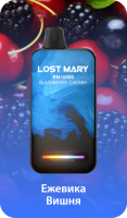  Lost Mary BM16000 *   - Blackberry Cherry