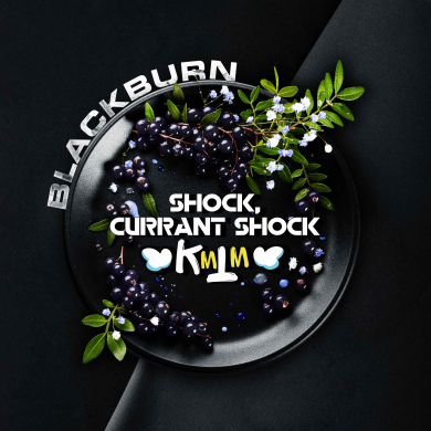 BlackBurn   Shock, Currant Shock ( ) 100  ()