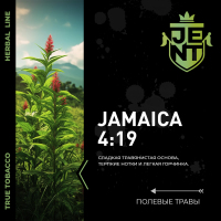 JENT Herbal Jamaica 419 ( ) 25 