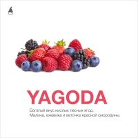 MattPear Yagoda 50 