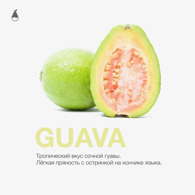 MattPear Guava 50 