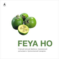 MattPear Feya Ho 50 