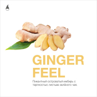 MattPear Ginger Feel 50 