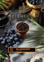 Element  Blueberry 25 