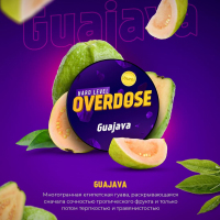 Overdose Guajava ( ) 100