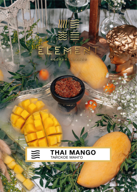 Element  Thai Mango 25 