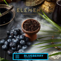 Element  Blueberry 25 