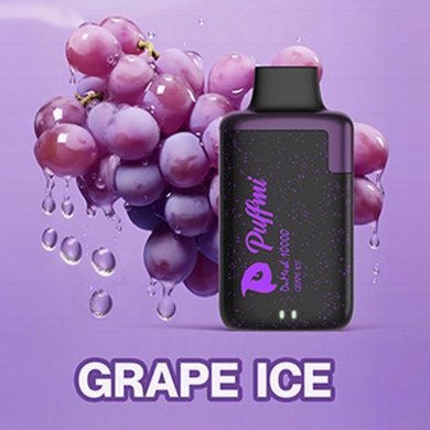 PUFFMI DUMESH 10000 * GRAPE ICE (H-008)