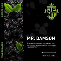 JENT Herbal Mr Damson () 100 