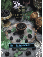 Element  Blackberry 25 